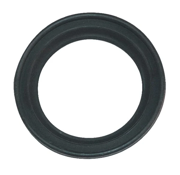 Arag - 450000070 - Seal For Gate Valve