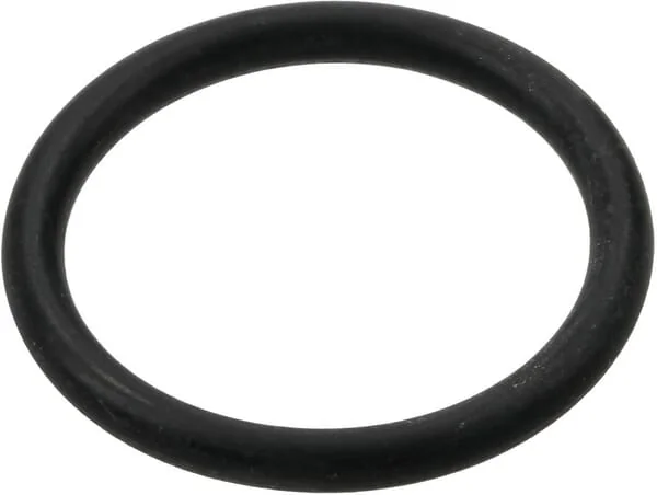 Arag - 465005140 - O-Ring 22.22x2.62 mm 70 Shore EPDM White