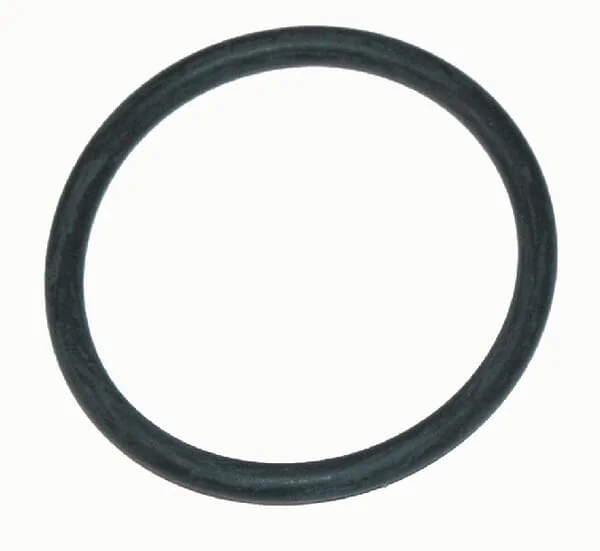 Arag - G10052 - O-Ring 39.69x3.53 mm EPDM