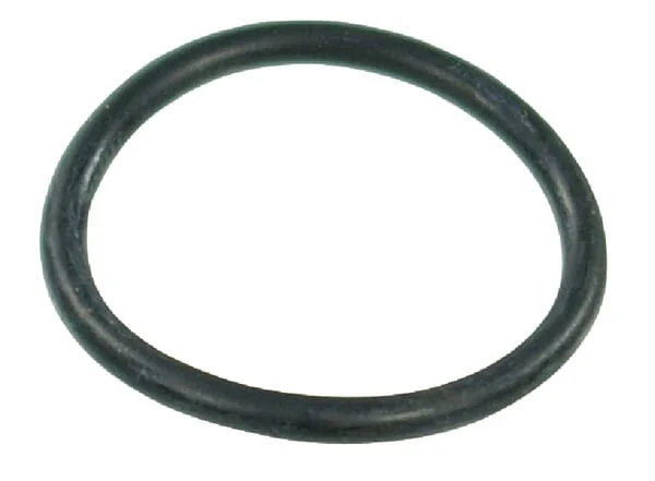 Arag - G10061 - O-Ring 29.2x3 mm 70 Shore EPDM Black