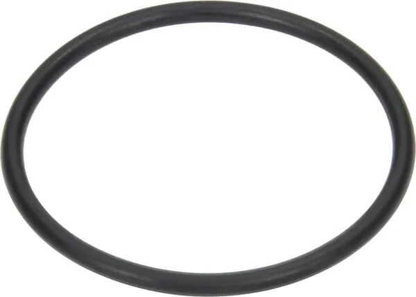Arag - G10081 - O-Ring 56.74x3.53mm 70 Shore EPDM Black