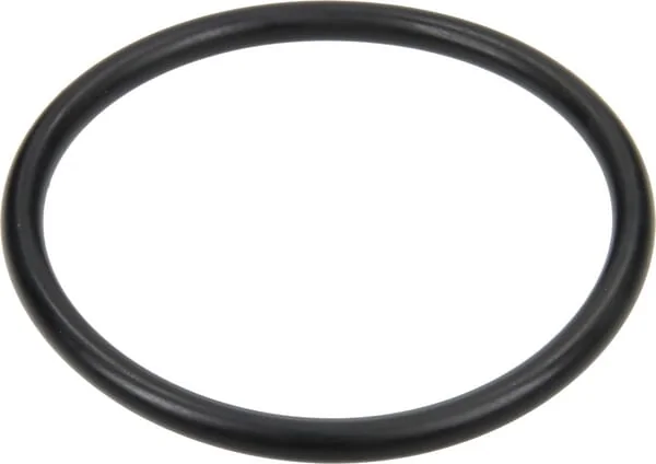 Arag - G11034 - O-Ring 69.22x5.34mm
