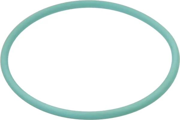 Arag - G11038V - O-Ring 9.19x2.62mm 70 Shore Viton Green