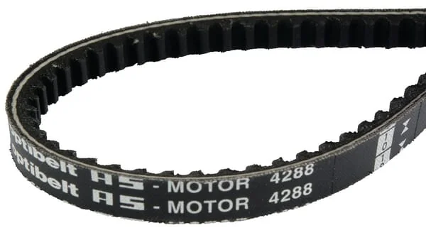 AS Motor - E04288ASM - V-Belt
