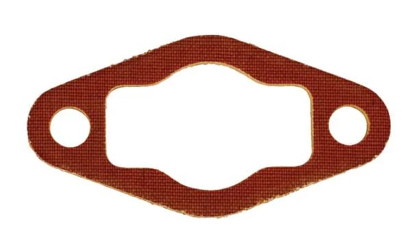 AS Motor - E04867ASM - Insulating