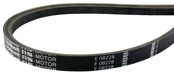 AS Motor - E08228ASM - V-Belt