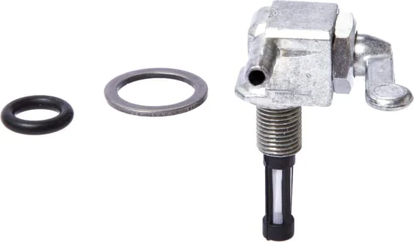 As Motor