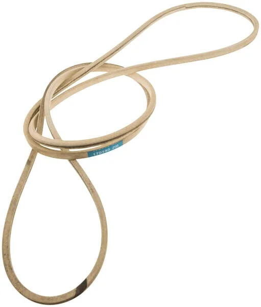 Ayp