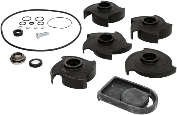 Banjo - 12000A - Repair Kit 2" Poly Pump