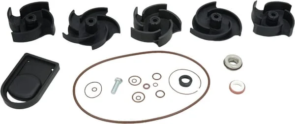 Banjo - 12000AV - Repair Kit 2" Poly Pump FKM