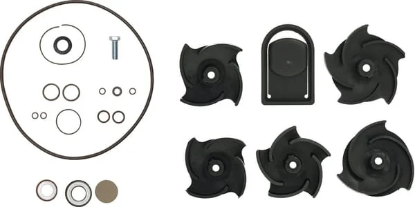 Banjo - 12000AV - Repair Kit 2" Poly Pump FKM