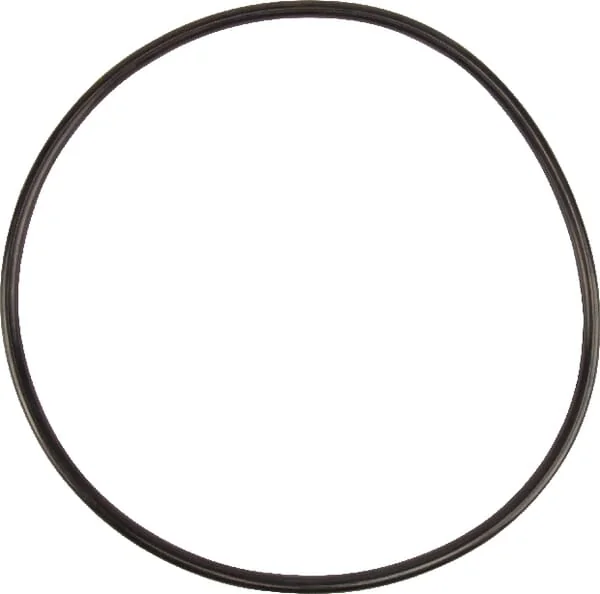 Battioni Pagani - 5030210059 - Seal Ring