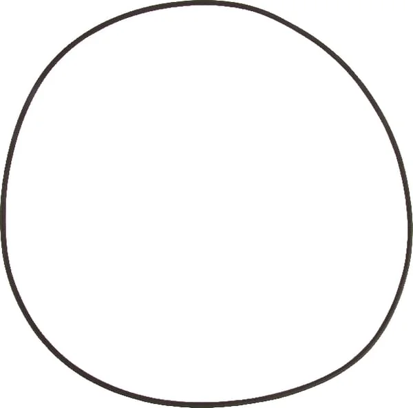 Battioni Pagani - 5030210061 - Seal Ring