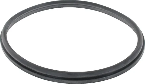 Battioni Pagani - SAR2 - Lip Seal 8" Battioni Pagani