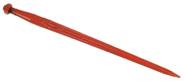 Battista Porteri