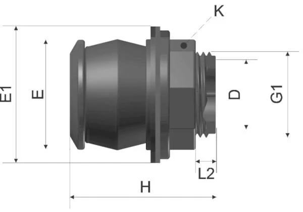 BDFast - 04022810050505E - Quick Connector Tanks 3/4"