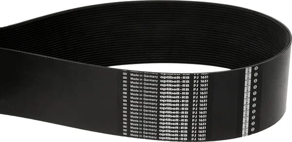 Becker - 200061285 - Becker Poly-V Belt