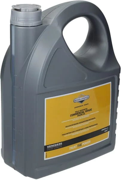 Briggs and Stratton