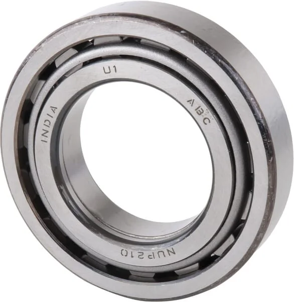Carraro - CI027530 - Roller Cylindrical Bearings