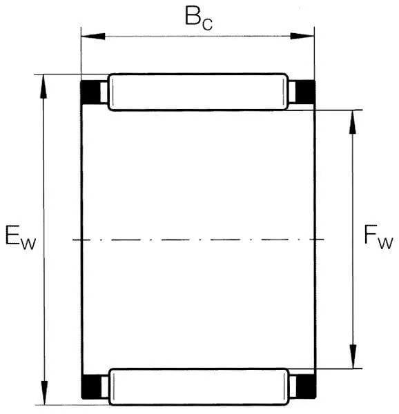 Carraro - CI028053 - Needle Bearing Cages
