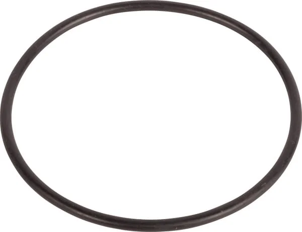 Carraro - CI028193 - O-Ring