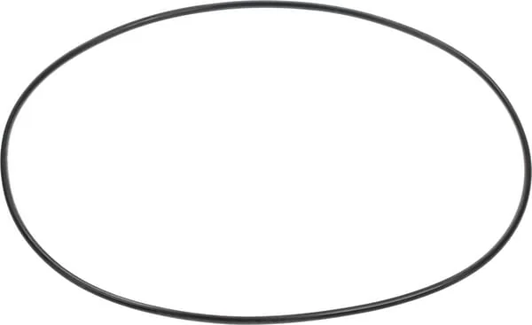 Carraro - CI028610 - O-Ring