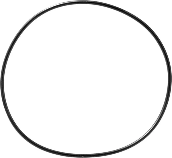 Carraro - CI028628 - O-Ring