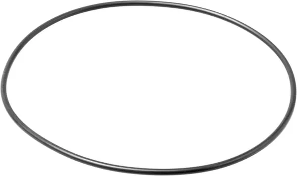 Carraro - CI028628 - O-Ring
