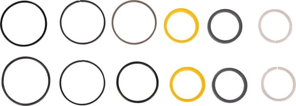 Carraro - CI049105 - Seal Kit