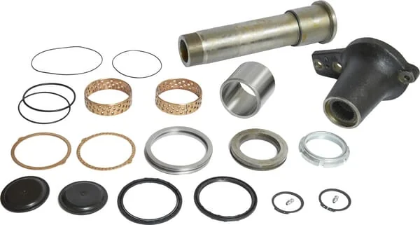 Carraro - CI068945 - Seals Kit