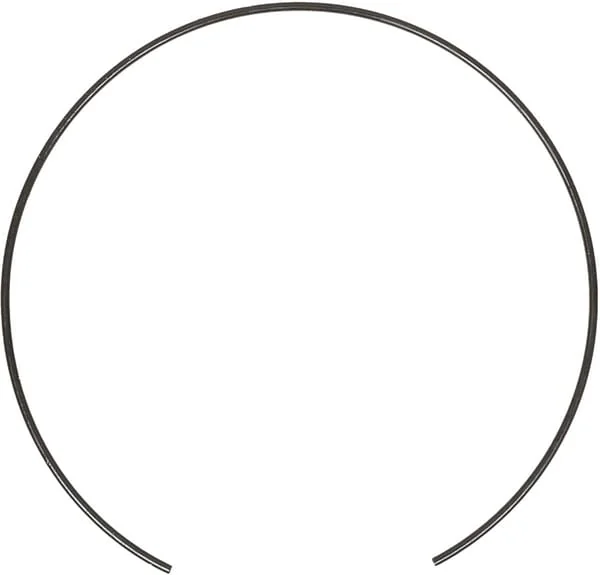 Carraro - CI125344 - Retaining Ring