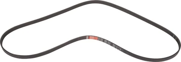 Carraro - CI201383 - Belt