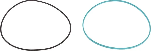 Carraro - CI831991 - Oil Seal Kit