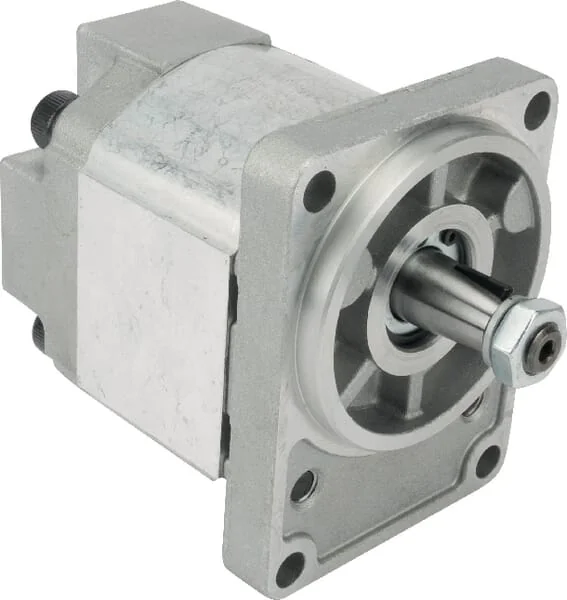 Casappa - PLM2063R054B2PGD - Plm20.6.3-54b2-p Gear Motor