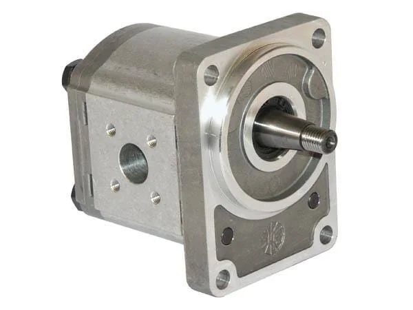 Casappa - PLP2025D054B2 - Pump PLP20.25d0-54b2-lbe/bc-n-el Fs