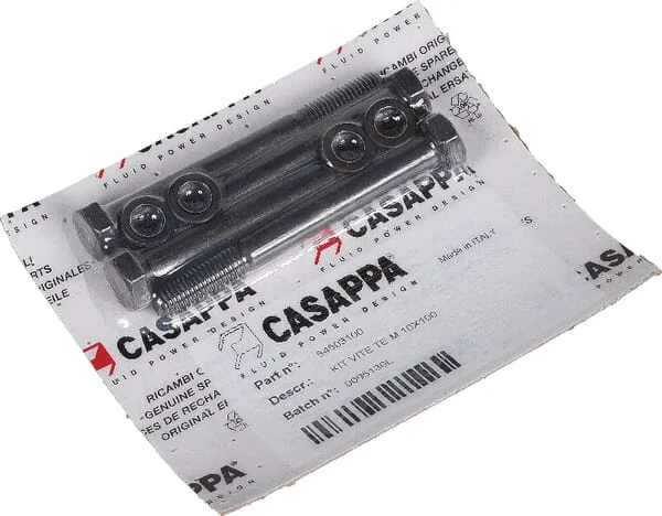 Casappa - PLP920M10100 - Bolt 20 M10x100 Polaris