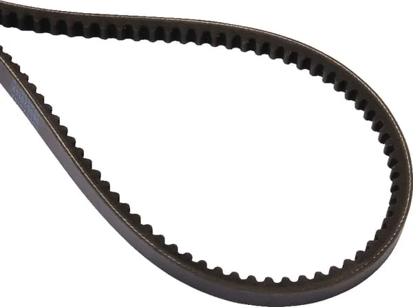 Case IH - 1329161C1 - V-Belt CNH