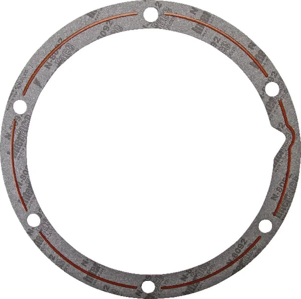 Case IH - 139241C5 - Dual Pump Suction Filter Gasket - 203 mm ID x 247 mm OD x 1 mm Thk