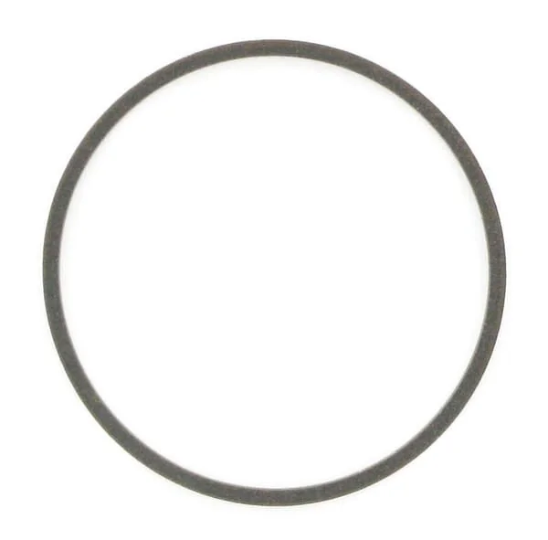 Case IH - 1995100C1 - Gasket