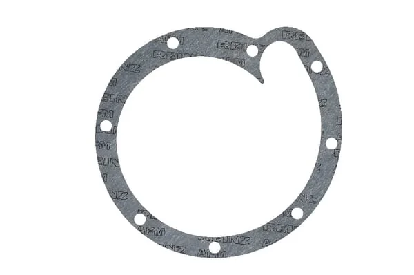 Case IH - 3055177R4 - Gasket