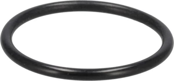 Case IH - 3147943R1 - O-Ring