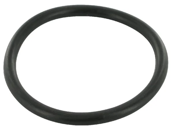 Case IH - 3220176R1 - O-Ring