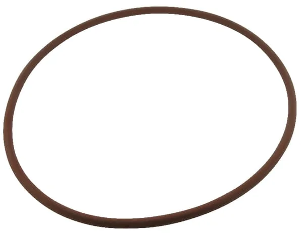 Case IH - 3230853R1 - O-Ring Rear Axle Brake