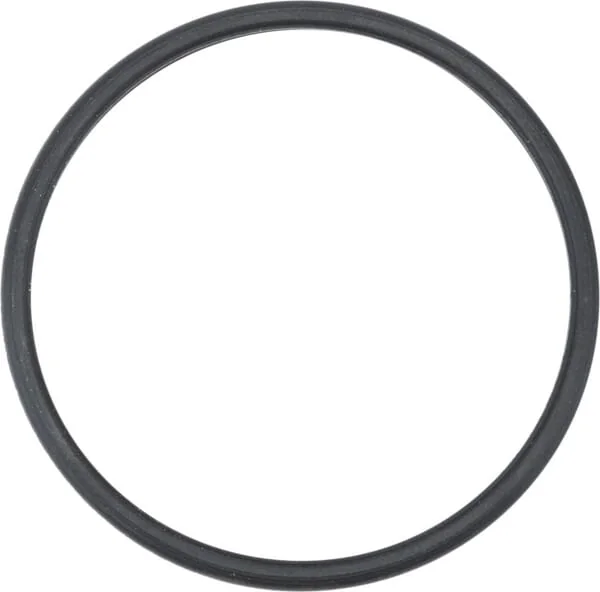 Case IH - 504387771 - Gasket