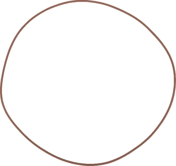 CNH - 14469481 - O-Ring