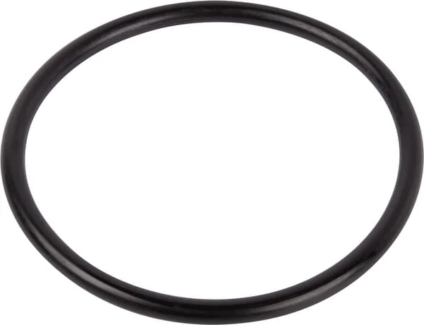 CNH - 83904830 - O-Ring