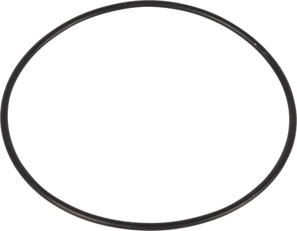 CNH - 87421149 - O-Ring