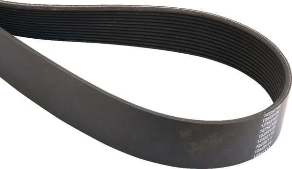CNH INDUSTRIAL - 504049425 - Belt