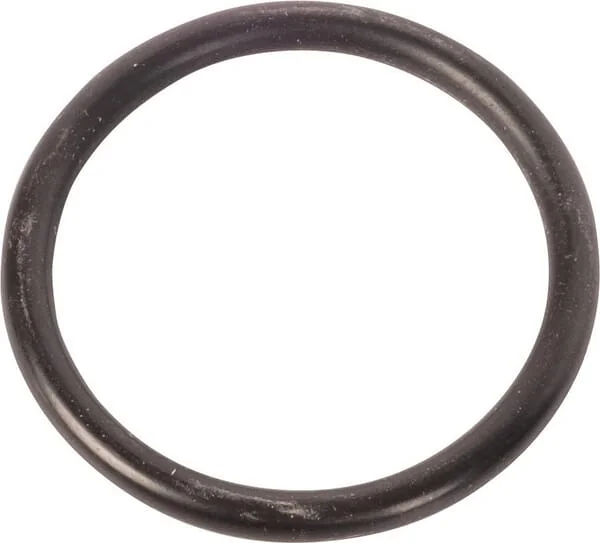 Dana Spicer - 001050041 - O-ring