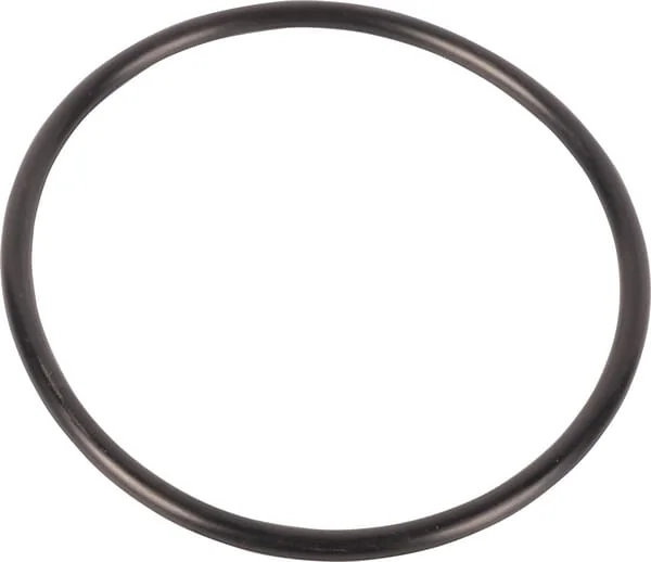 Dana Spicer - 001051041N - O-ring